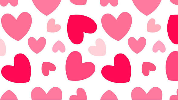 Featured image for “February Special Updates”